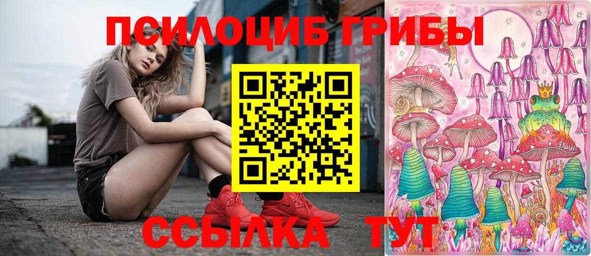 Псилоцибиновые грибы Magic Shrooms  Псилоцибиновые грибы GOLDEN TEACHER  Елизово  Вход с VPN 